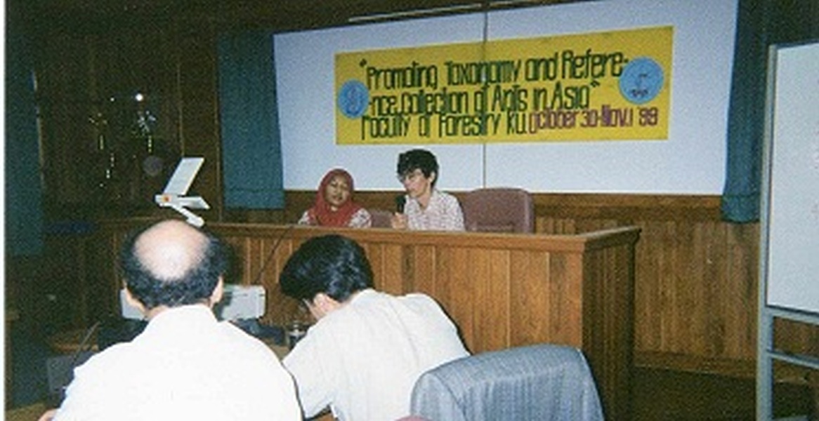 ANeT meeting 1999