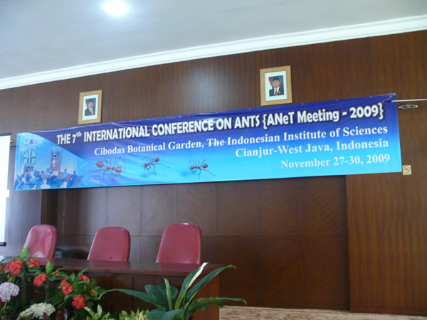 ANeT meeting 2009