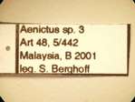 Aenictus 3 Label