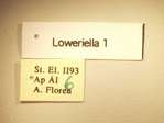 Loweriella 1 Label
