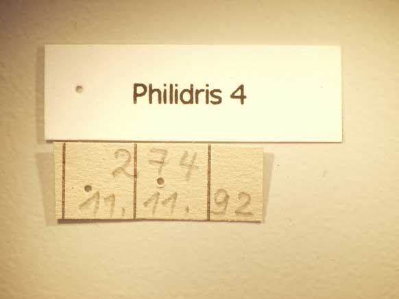 Philidris 4 Label