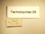 Technomyrmex 26 Label