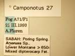Camponotus 27 Label
