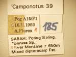 Camponotus 39 Label