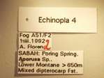 Echinopla 4 Label