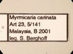 Myrmicaria carinata Smith,1857 Label