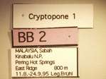 Cryptopone 1 Label