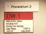 Proceratium 2 Label