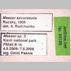 Messor excursionis Ruzsky, 1905 label