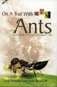 On A Trail With Ants