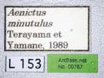 Aenictus minutulus Terayama & Yamane, 1989 Label