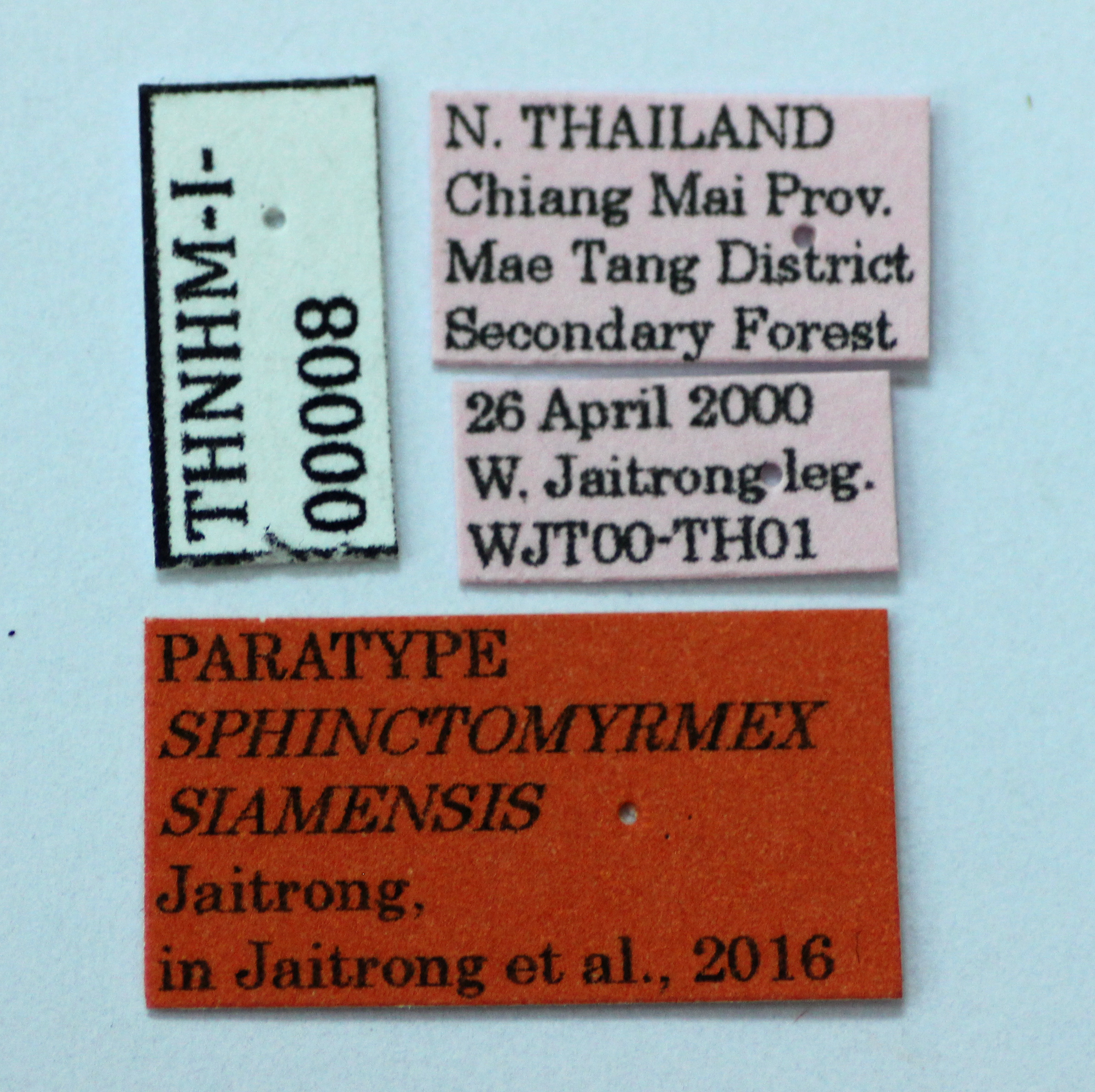 Foto Zasphinctus siamensis Jaitrong, 02016 Label