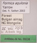 Formica aquilonia Yarrow, 1955 Label