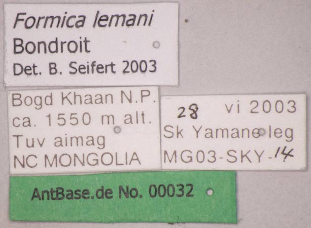 Foto Formica lemani Bondroit, 1917 Label