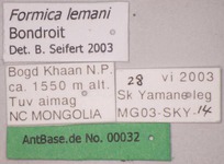 Formica lemani Bondroit, 1917 Label