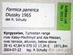 Formica pamirica Dlussky, 1965 Label