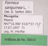 Formica sanguinea Latreille, 1798 Label