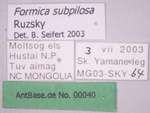 Formica subpilosa Ruzsky, 1902 Label