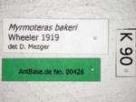 Myrmoteras bakeri Wheeler, 1919 Label