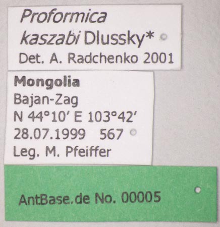 Foto Proformica kaszabi Dlussky, 1969 Label