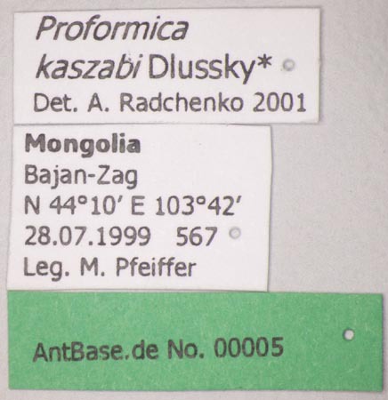 Foto Proformica kaszabi Dlussky, 1969 Label