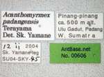 Acanthomyrmex padanensis Terayama, Ito & Gobin, 1998 Label