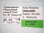 Crematogaster sewardi Forel Label