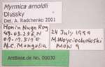 Myrmica arnoldii Dlussky, 1963 Label