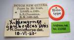 Tetramorium gambogecum Donisthorpe, 1941 Label