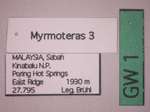 Myrmoteras 3 Label