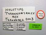 Tyrannomyrmex rex Fernández, 2003 Label