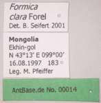 Formica clara Forel, 1886 Label