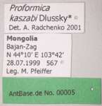 Proformica kaszabi Dlussky, 1969 Label