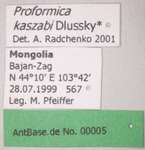 Proformica kaszabi Dlussky, 1969 Label