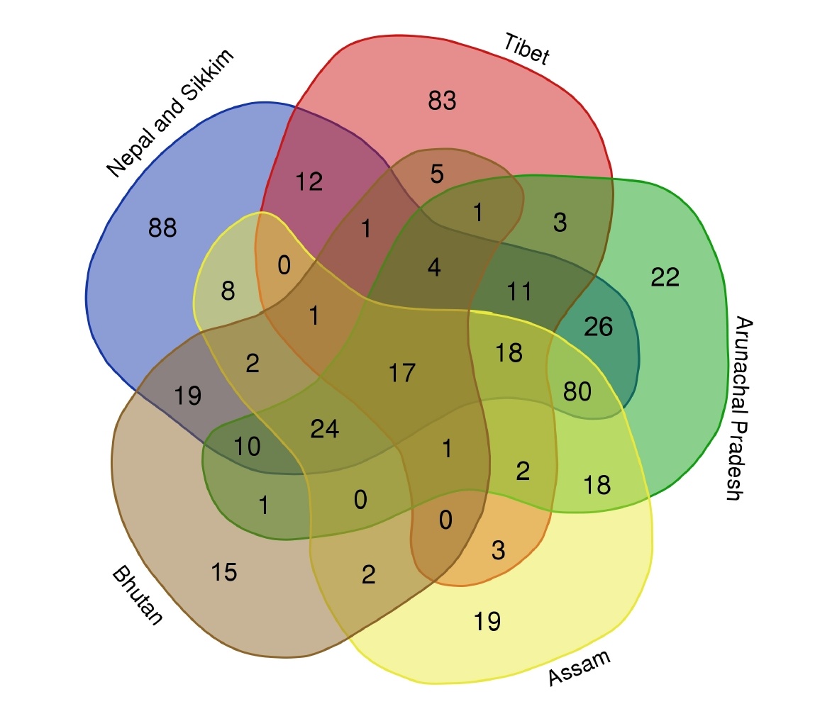 Venn Diagram of Ants from Bhutan