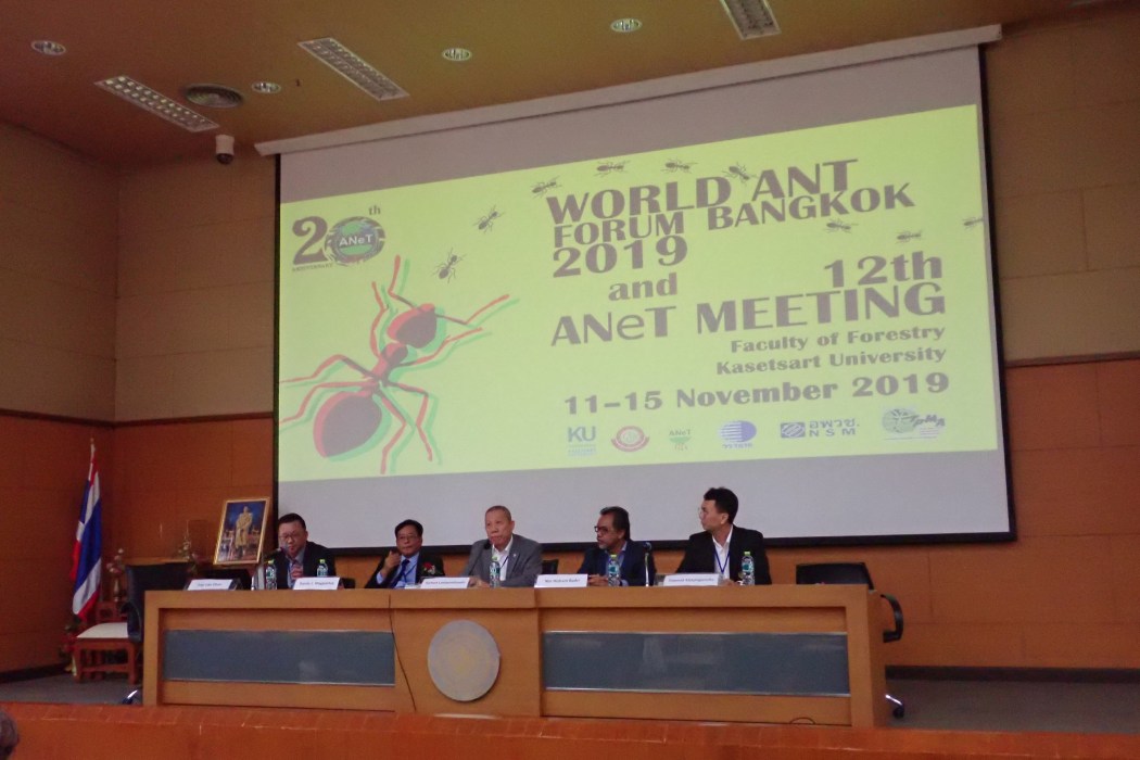 ANeT meeting 2019