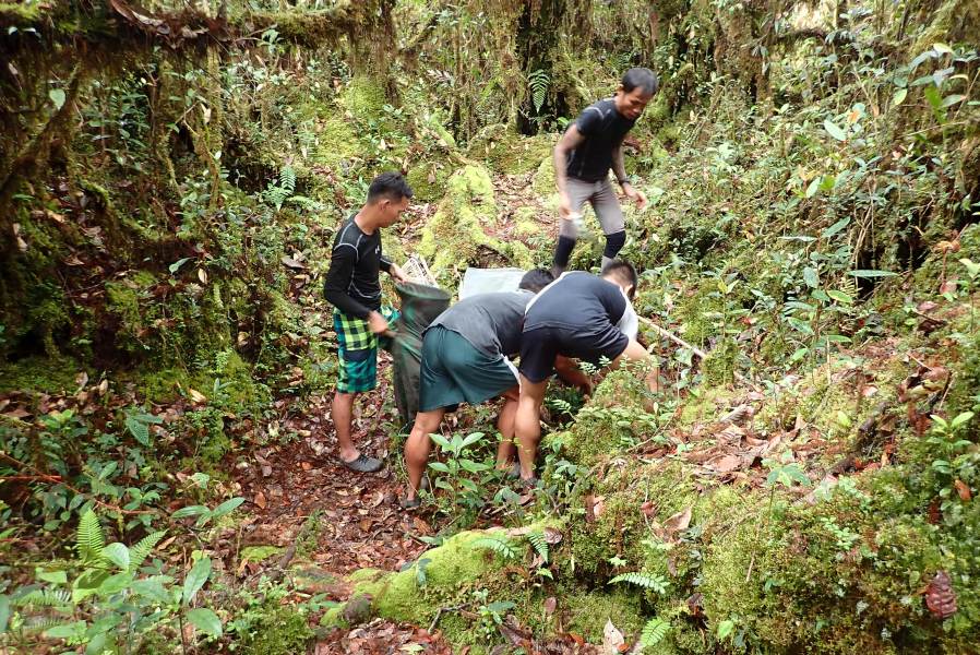 Expedition to collect ants at the Mount Mulu: Part 1