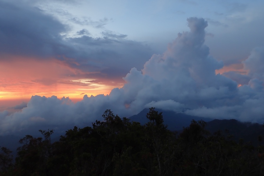 Expedition to collect ants at the Mount Mulu: Part 1