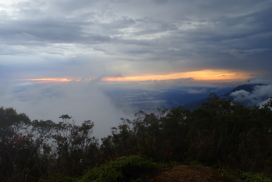 Expedition to collect ants at the Mount Mulu: Part 1