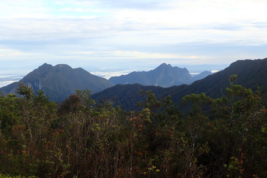 Expedition to collect ants at the Mount Mulu: Part 1