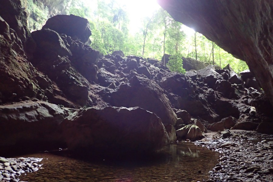 Expedition to collect ants at the Mount Mulu: Part 1