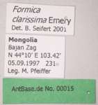 Formica clarissima Emery, 1925 Label