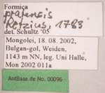 Formica pratensis Retzius, 1783 Label