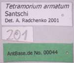 Tetramorium armatum Santschi, 1927 Label