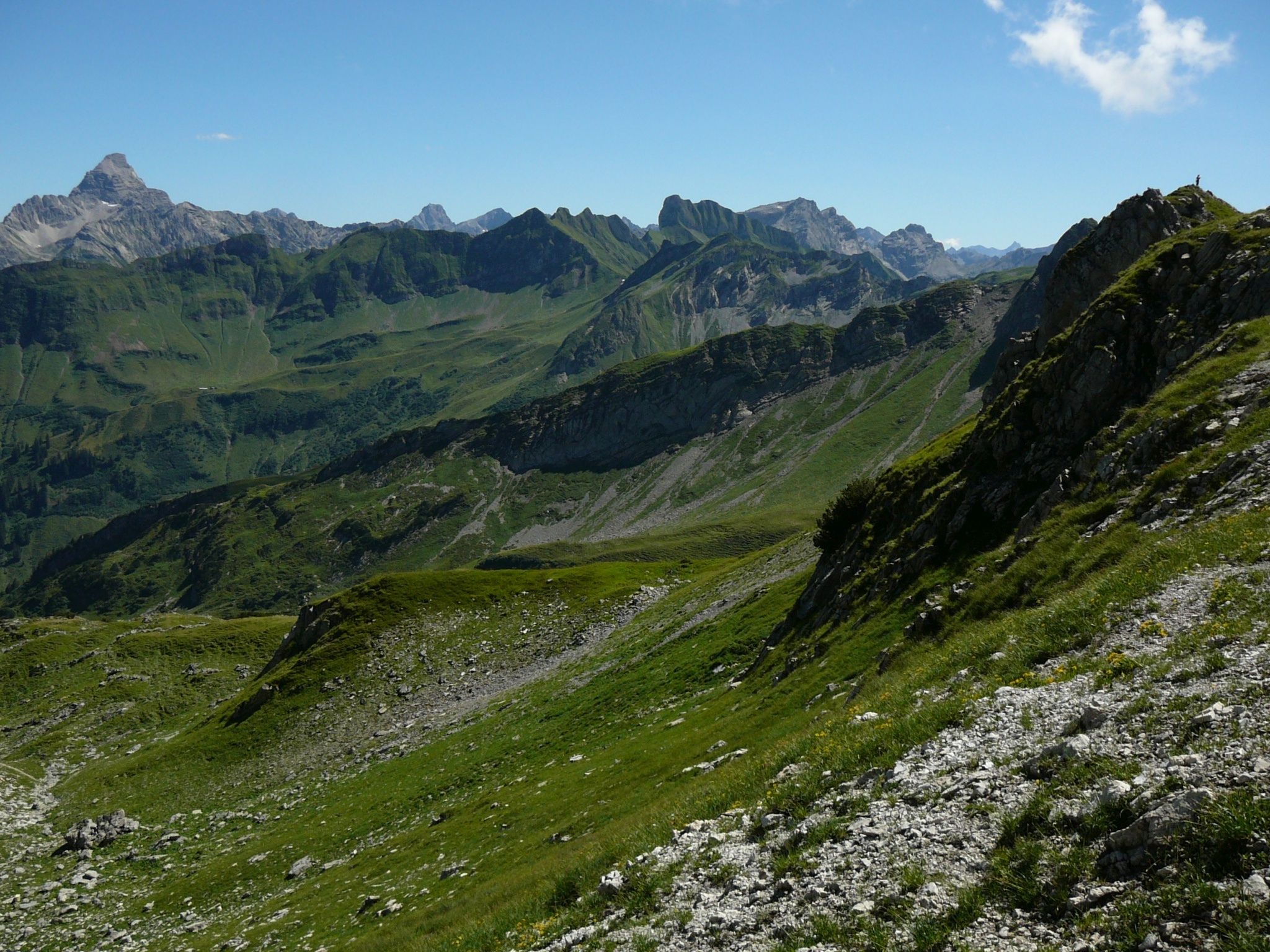 Alpine environment